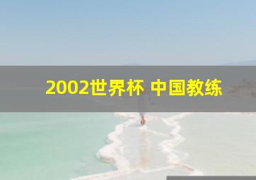 2002世界杯 中国教练